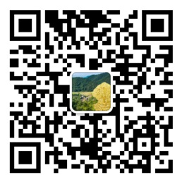 杏鑫平台登陆